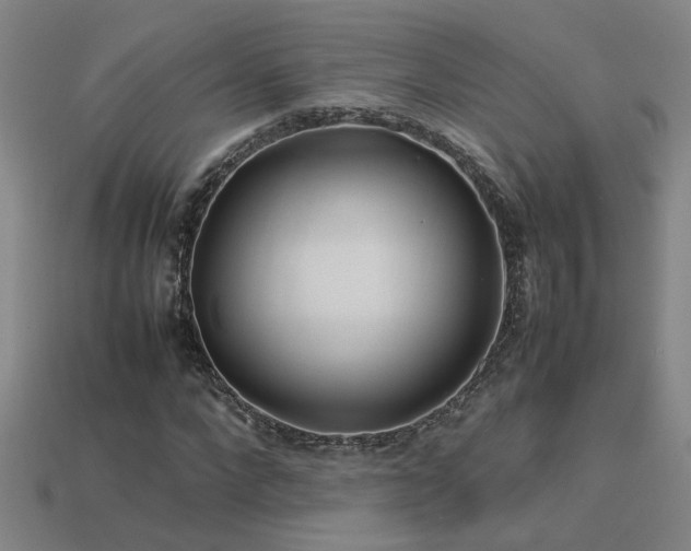 X0000113620872200909181437