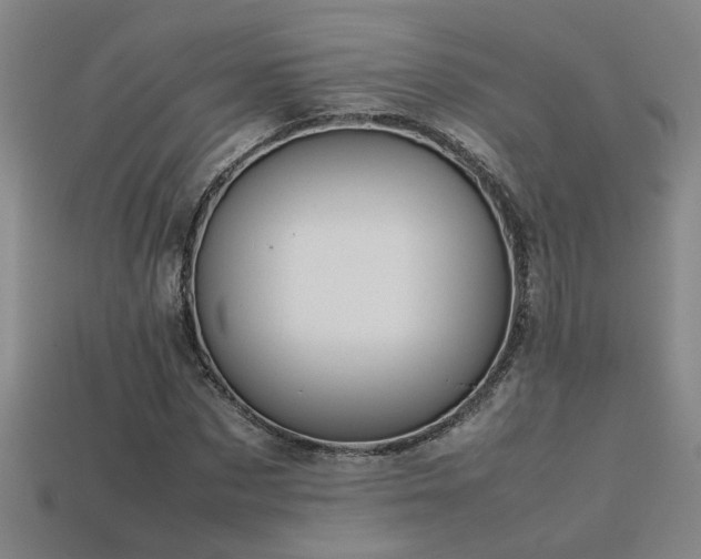 X0000113620873200909181437