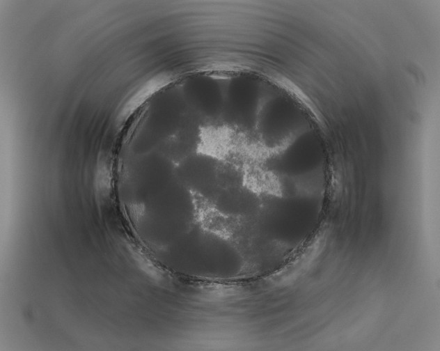 X0000113620874200909181437