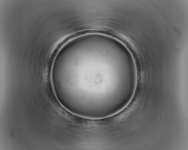 X0000113620875200909181437