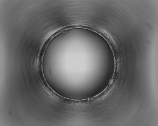 X0000113620876200909181437