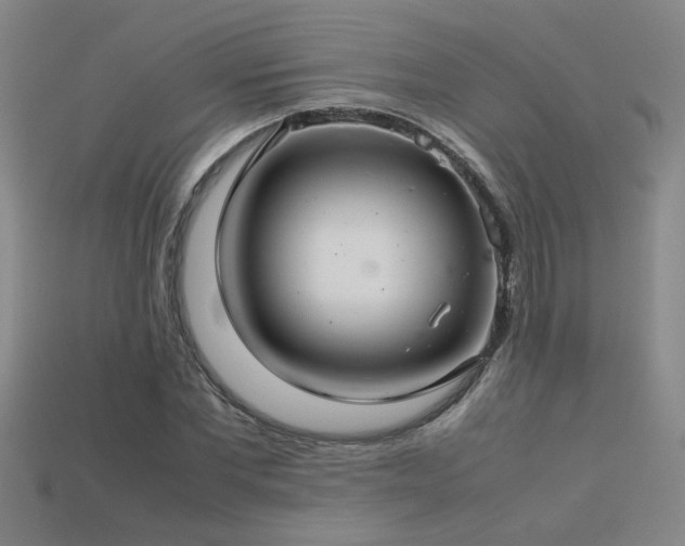 X0000113620877200909181437