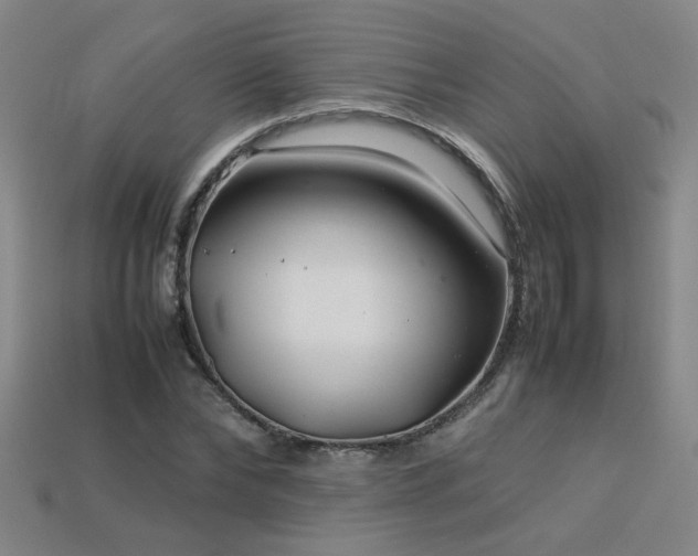 X0000113620878200909181437