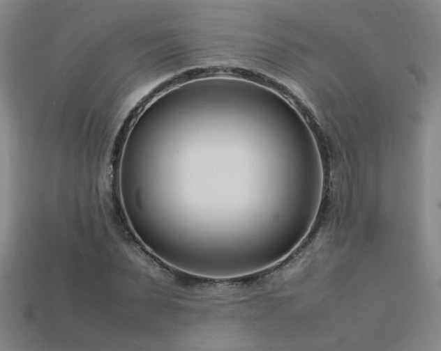 X0000113620879200909181437