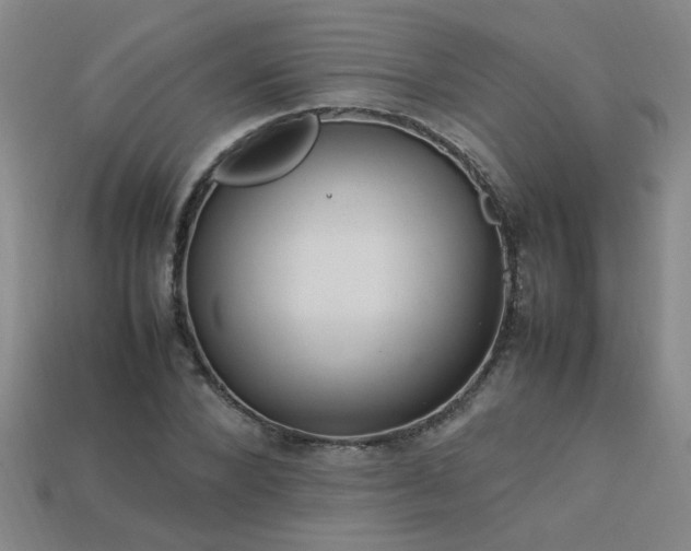 X0000113620880200909181437