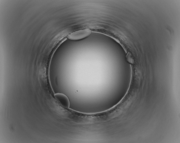 X0000113620881200909181437