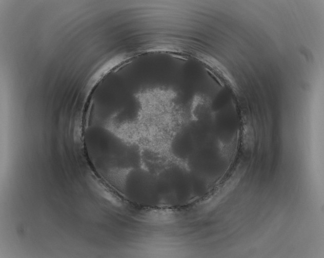 X0000113620882200909181437