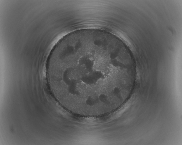 X0000113620883200909181437