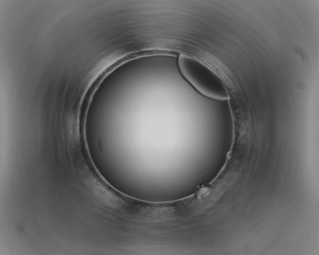 X0000113620884200909181437