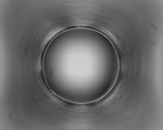 X0000113620885200909181437