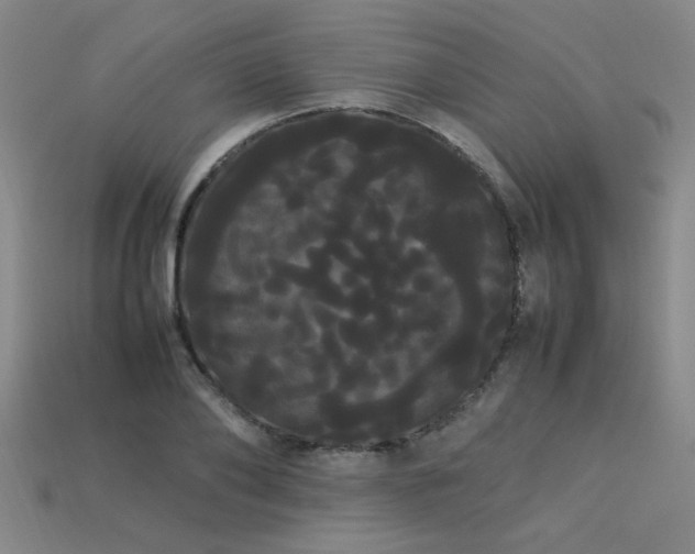 X0000113620886200909181437