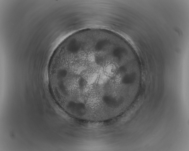 X0000113620887200909181437