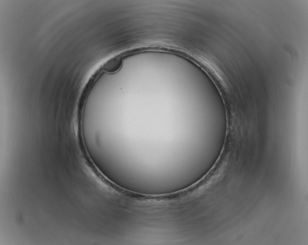 X0000113620888200909181437