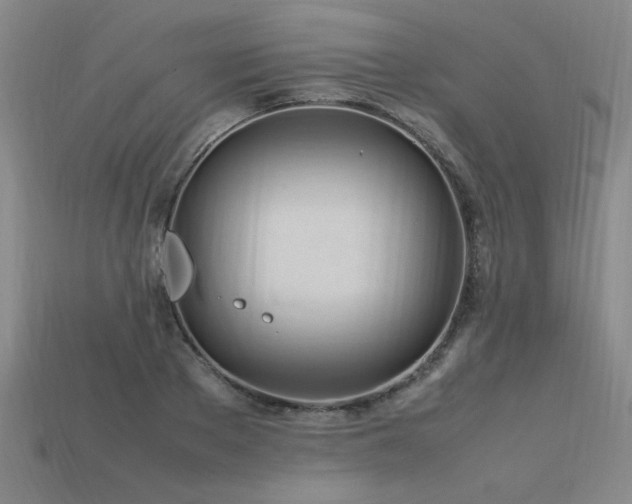 X0000113620889200909181437