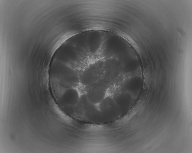 X0000113620890200909181437