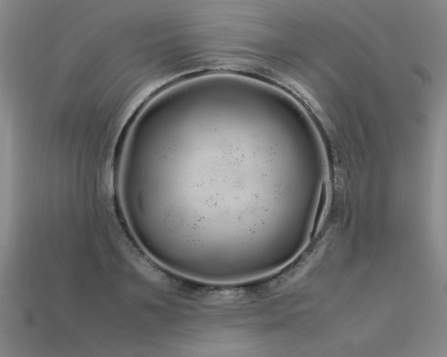 X0000113620891200909181437