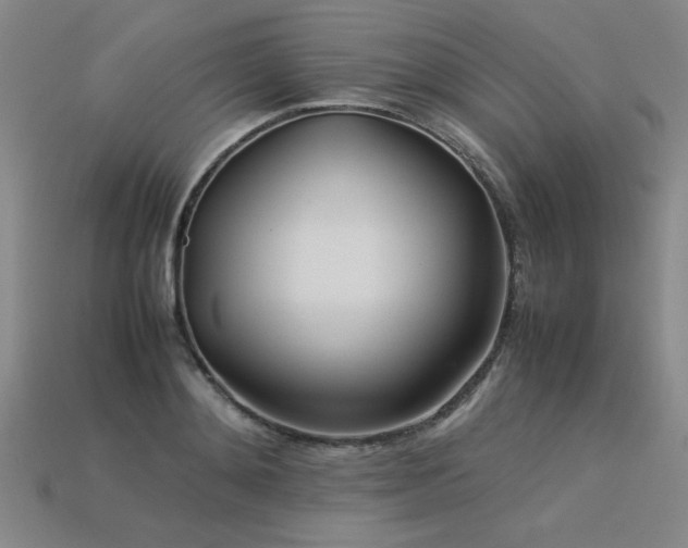 X0000113620892200909181437