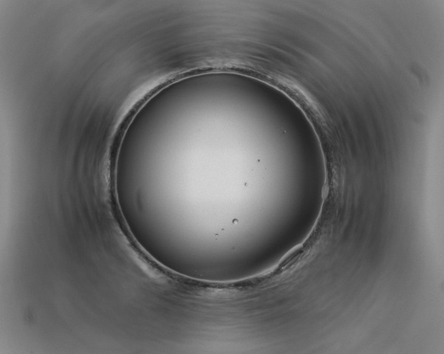 X0000113620894200909181437