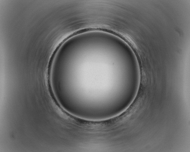 X0000113620895200909181437