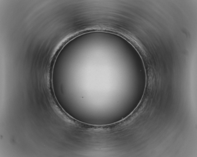 X0000113620896200909181437