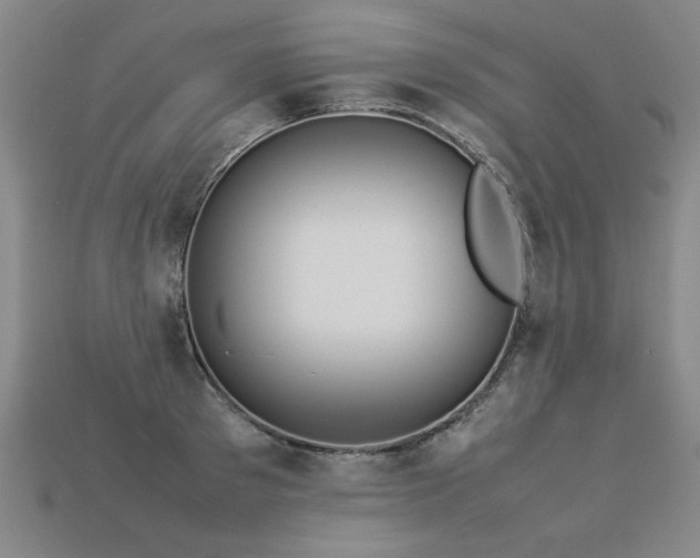 X0000113620897200909181437