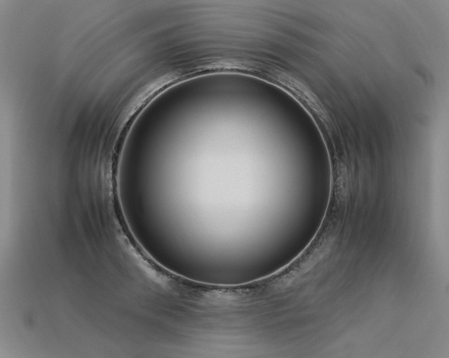 X0000113620898200909181437