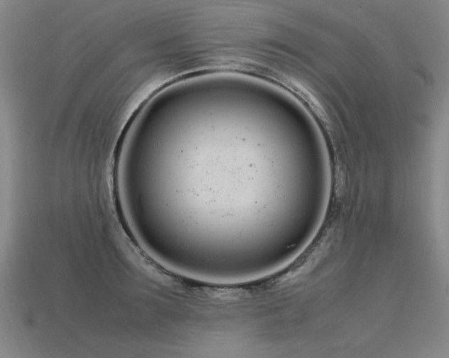 X0000113620899200909181437