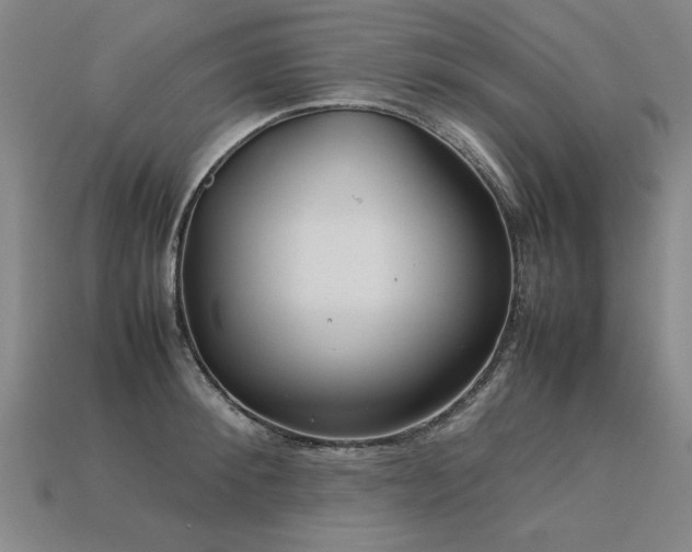 X0000113620900200909181437