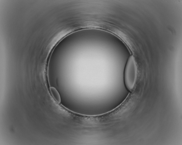 X0000113620901200909181437