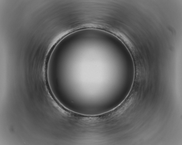 X0000113620902200909181437