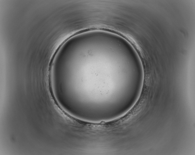 X0000113620903200909181437