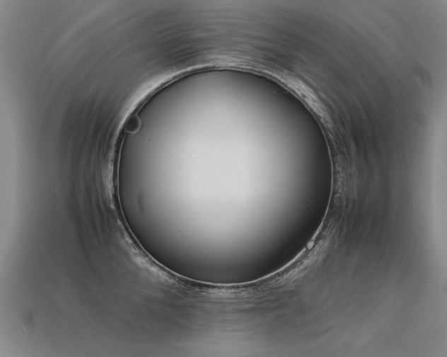 X0000113620904200909181437