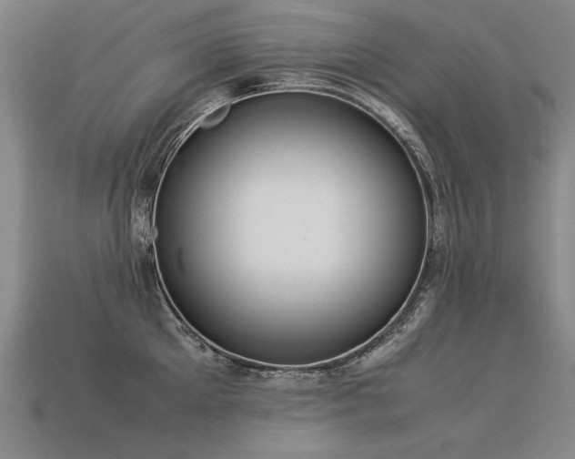 X0000113620905200909181437