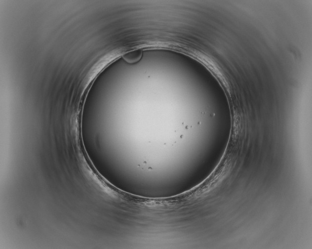 X0000113620906200909181437