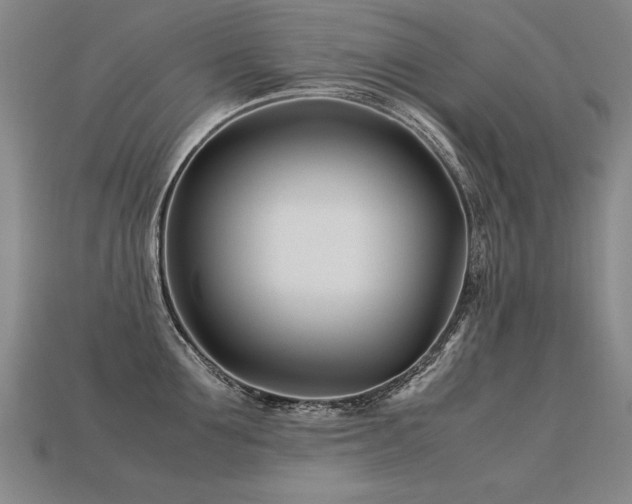 X0000113620907200909181437