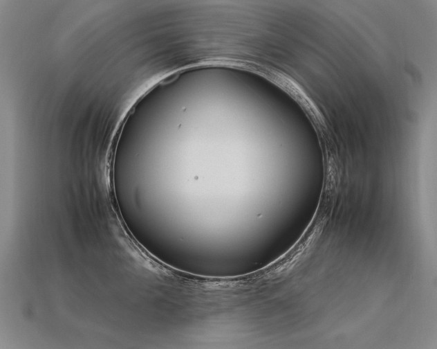 X0000113620908200909181437