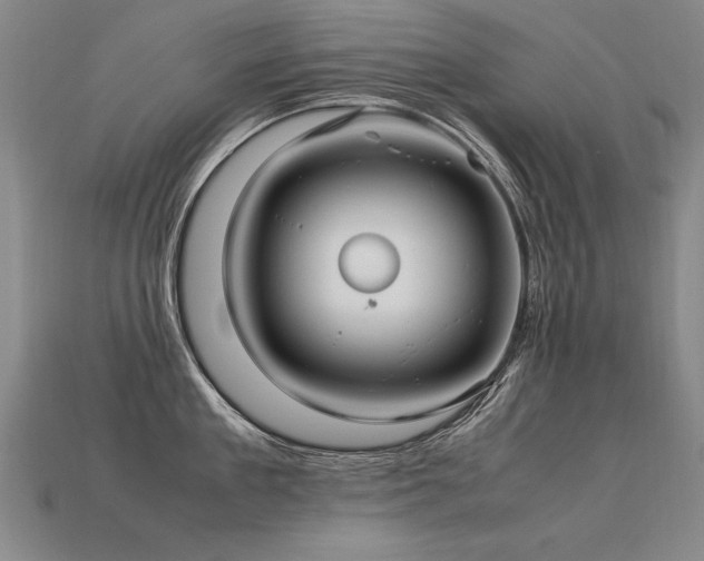 X0000113620909200909181437