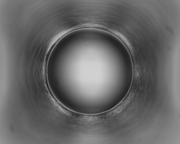 X0000113620910200909181437