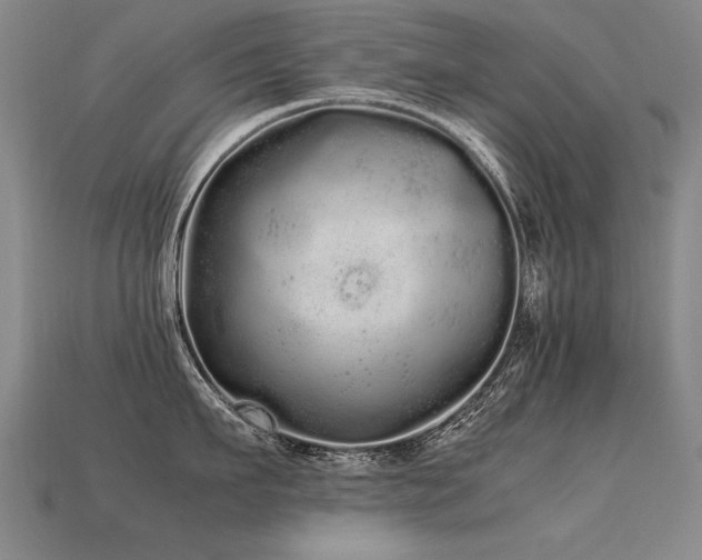 X0000113620911200909181437