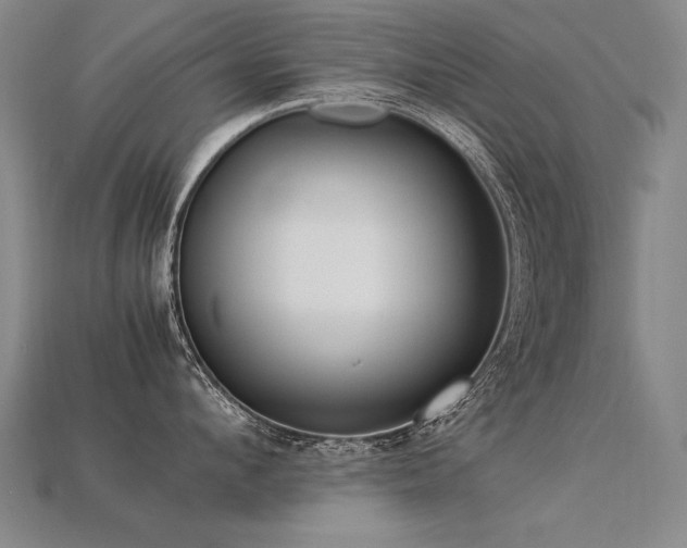 X0000113620912200909181437