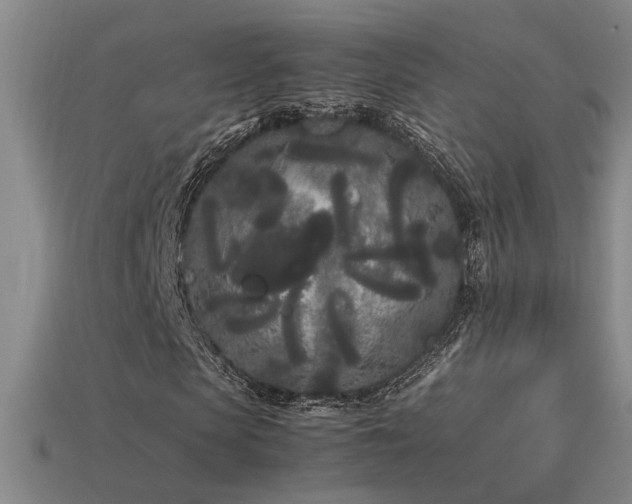 X0000113620913200909181436