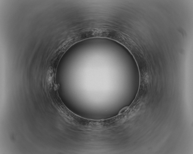 X0000113620914200909181436