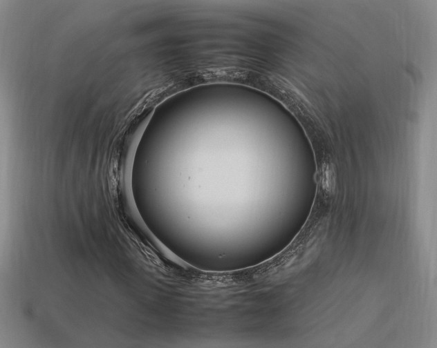 X0000113620915200909181436