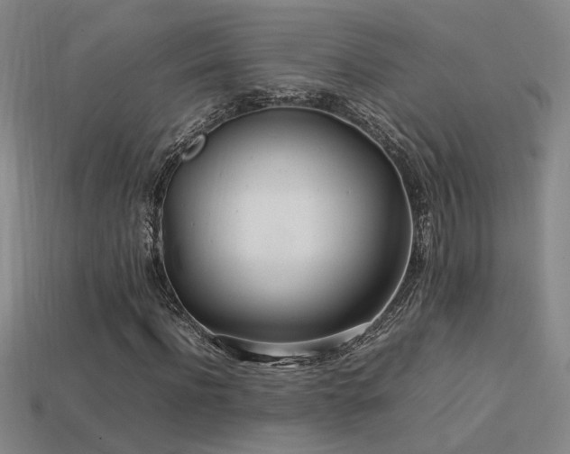 X0000113620916200909181436