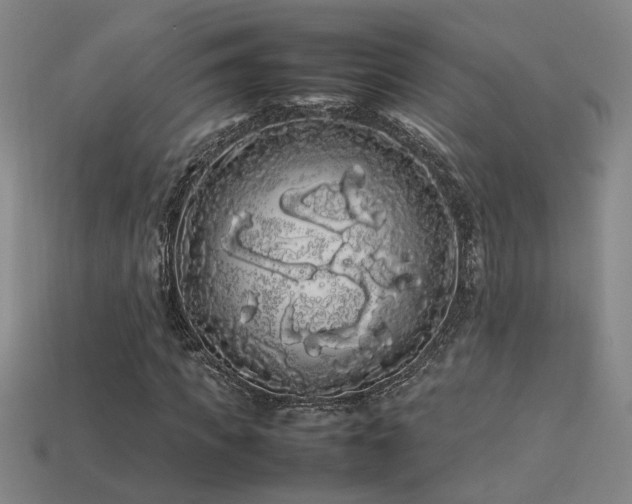 X0000113620917200909181436