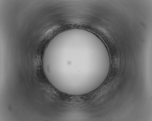 X0000113620918200909181436