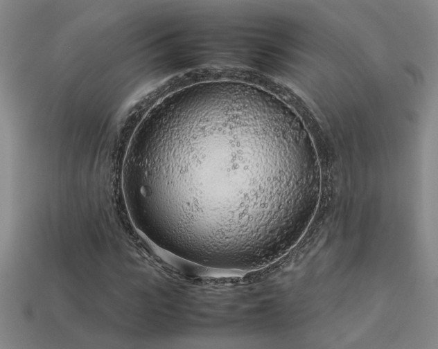 X0000113620919200909181436