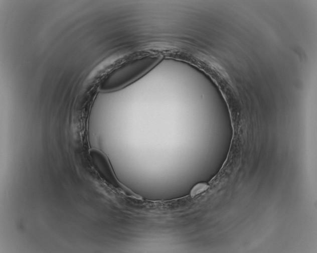 X0000113620920200909181436