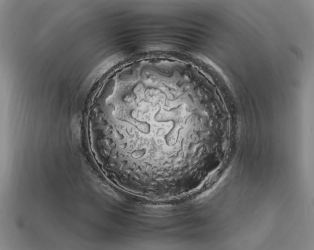 X0000113620921200909181436