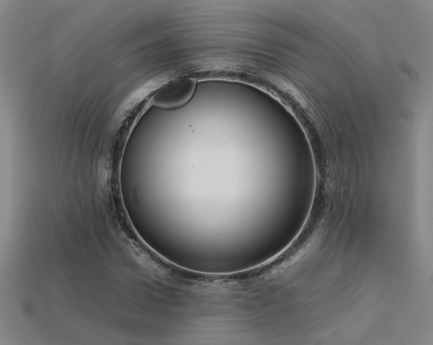 X0000113620922200909181436